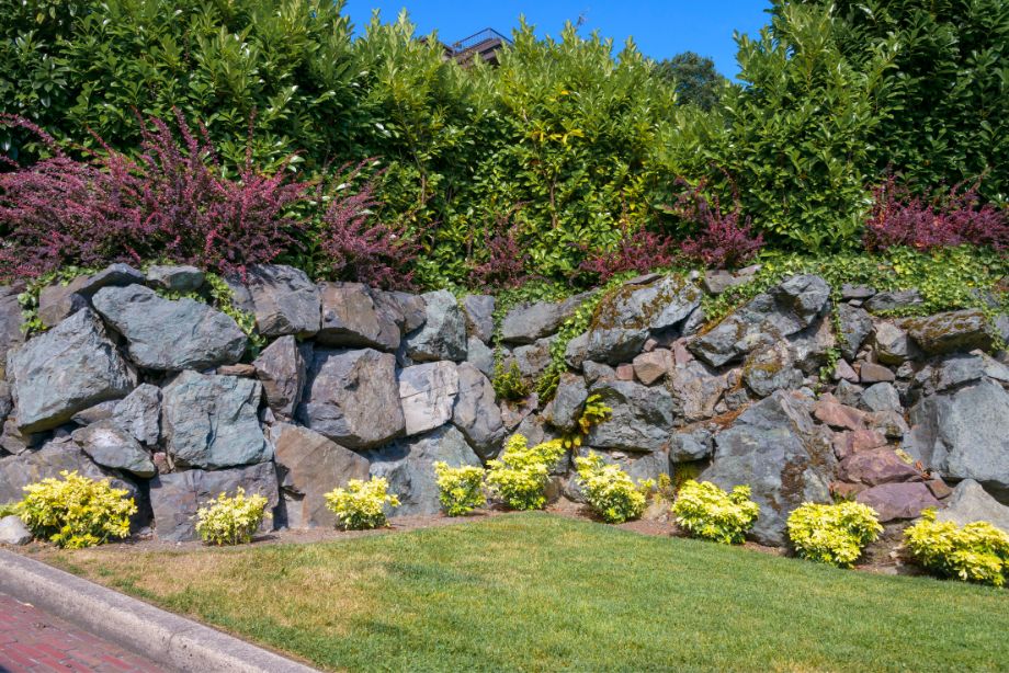 Choisir les pierres adaptées à votre jardin