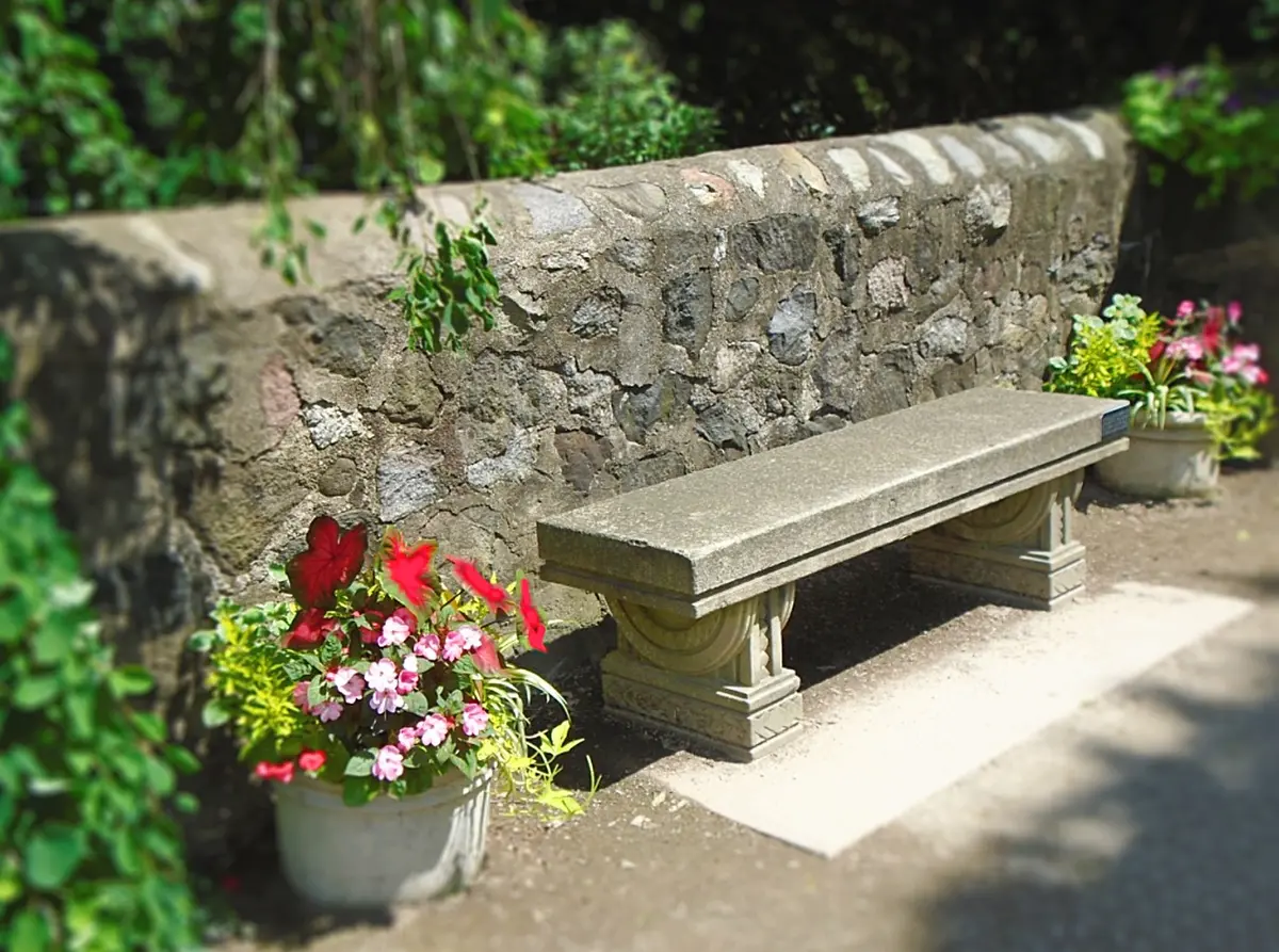 Jardinières murales et plantes grimpantes sur une terrasse